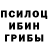 Псилоцибиновые грибы Cubensis KM_N1M3RCh N1V3A