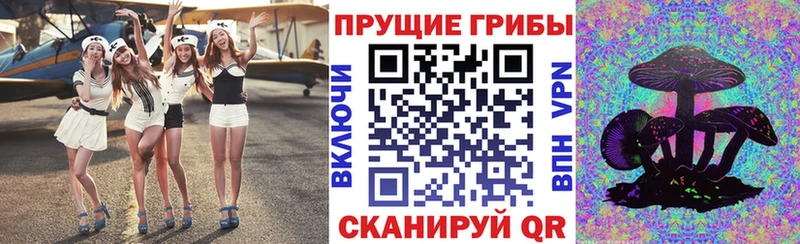 Псилоцибиновые грибы прущие грибы  Удомля 