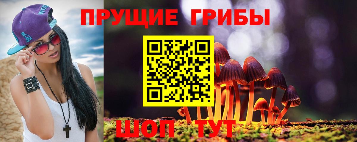 Галлюциногенные грибы GOLDEN TEACHER Удомля